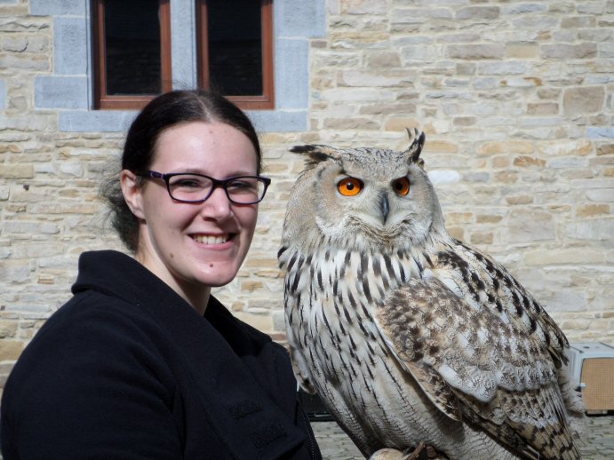 2 chouettes !