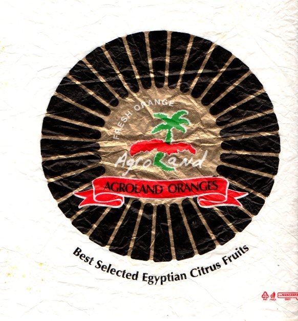Agroland oranges fresh orange agroland best selected egyptian citrus fruits