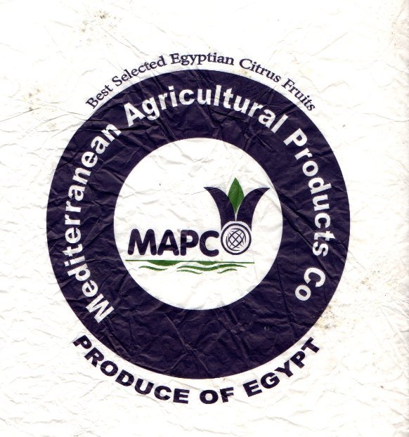 Mapc mediterranean agricultural products co best selected egyptian citrus fruits produce of egypt
