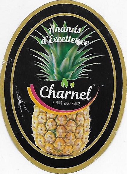 Chanel ananas d excellence le fruit gourmandise 3332230016139