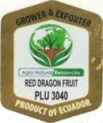 Agro Natural Resourses grower & exporter red dragon fruit plu 3040 product of ecuador