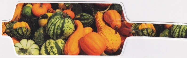 Sansnom (legumes)