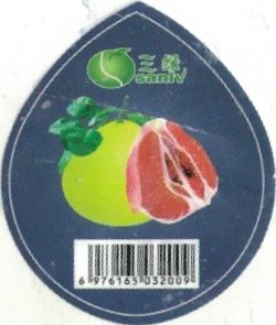 Sanlv 6976165032009