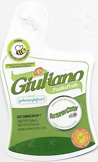 Giuliano puglia fruit autumn crisp white seedless www.alimentinutrizone.it