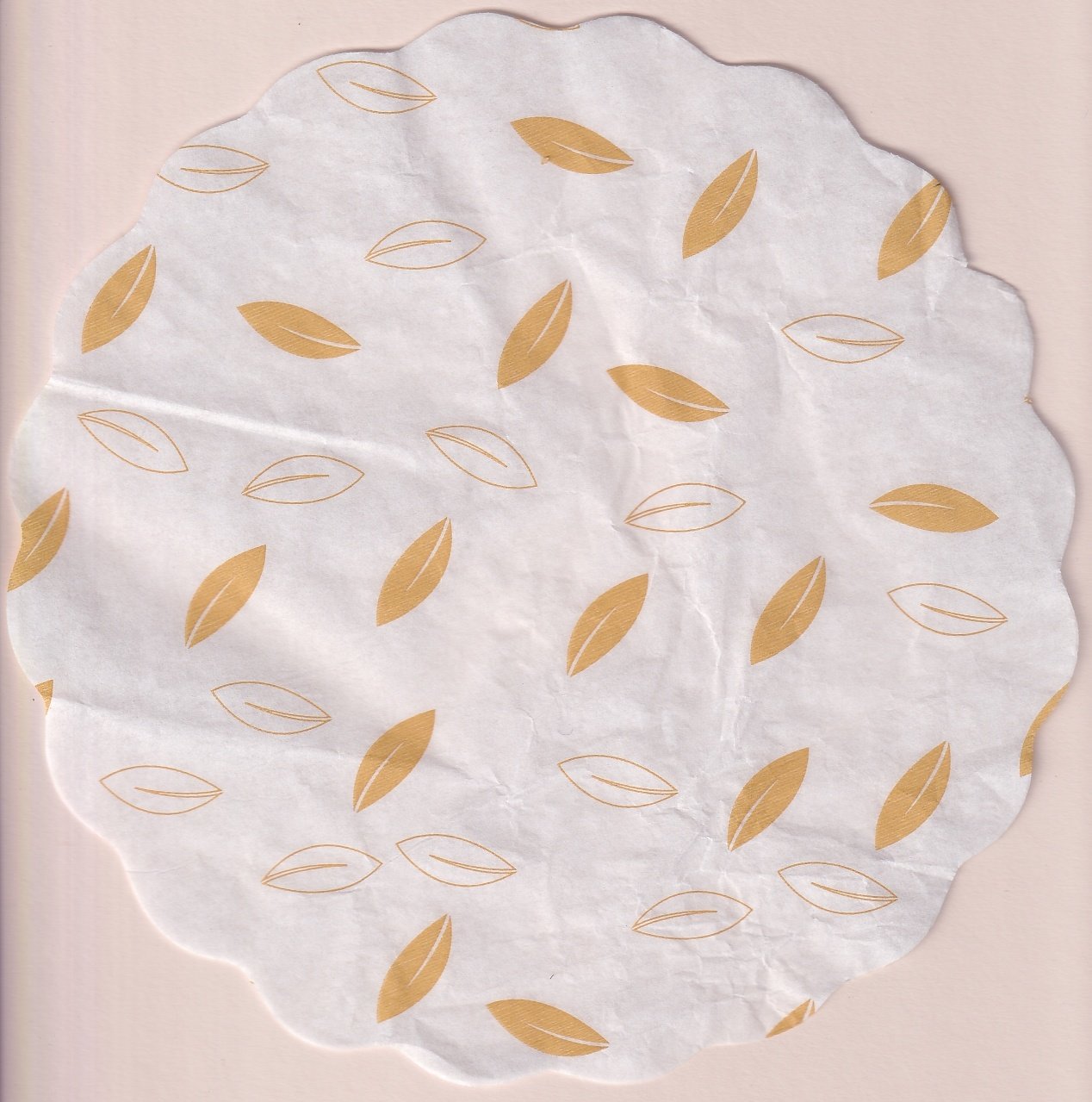 Sansnom (feuilles)