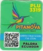 Pitanova plu 3319 quality fruit green fruitscom cia ltda palora ecuador