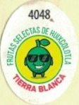 Frutas selectas de hulxcolotla 4048 tierra blanca