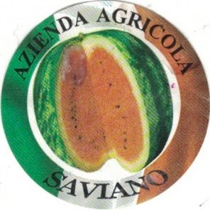 Azienda Agricola Saviano