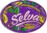 Selva fresh premium bananas product of ecuador