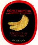 Achetropical product of costa rica bananas