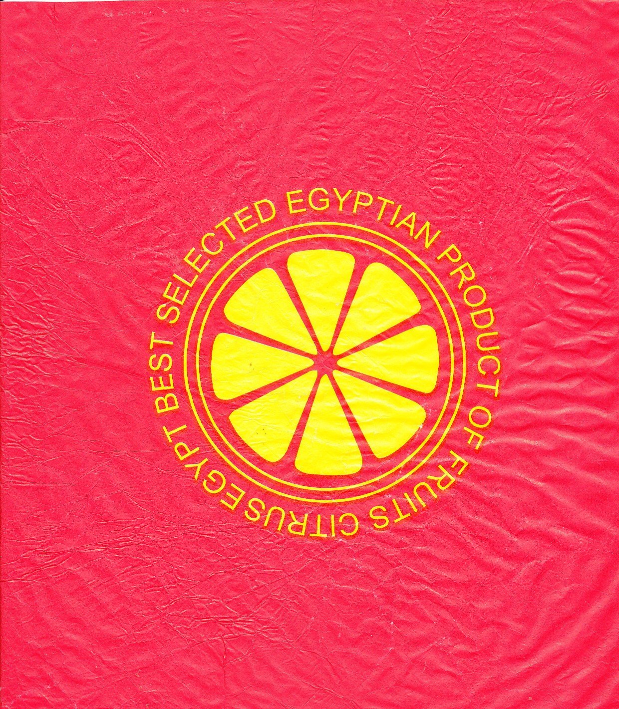 Best selected egyptian product of fruits citrus egypt