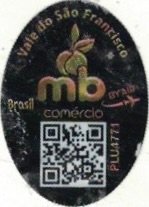 MB comercio  plu vale do sao francisco by air brasil plu 4771