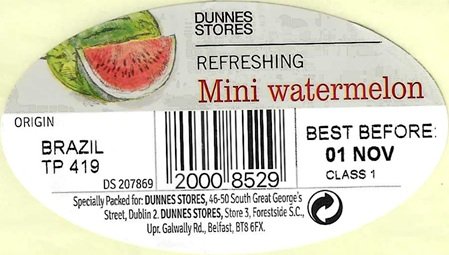 dunnes stores refreshing mini watermelon 20008529