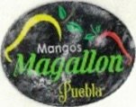 Magallon mangos puebla
