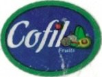 Gofil Fruits