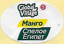 Global village 5