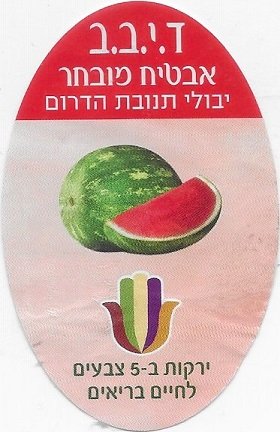 Hebreu
