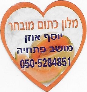050-5284851