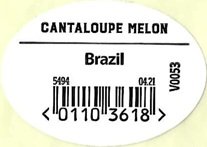 cantaloupe melon brazil 01103618