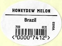 honeydew melon brazil 00007412