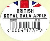 british royal gala apple 00041737