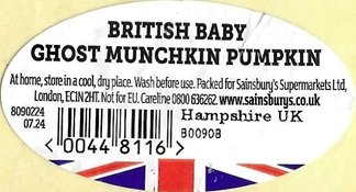 british baby ghost munchkin pumkin www.sainsburys.co.uk 00448116