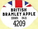 british bramley apple 4209