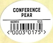 conference pear 00030175