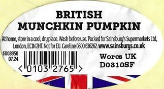 british munchkin pumpkin www.sainsburys.co.uk 01032765
