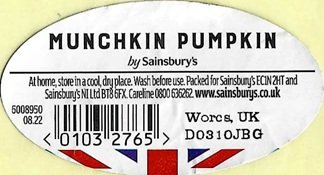 munchkin pumpkin by sainsbury s 01032765