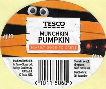tesco munchkin pumpkin scarily good to carve 10115060