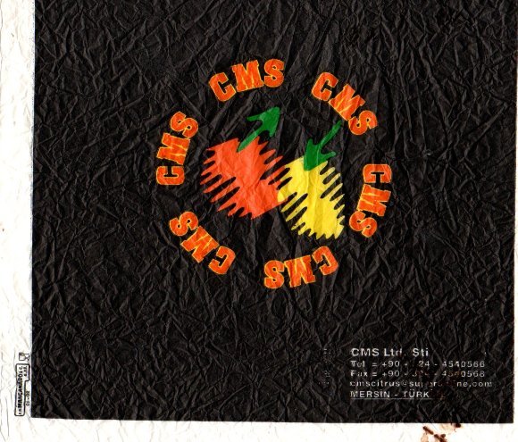 Cms ltd. sti. mersin turkiye