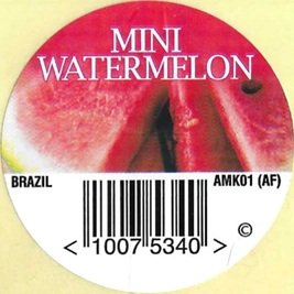 mini watermelon brazil 10075340