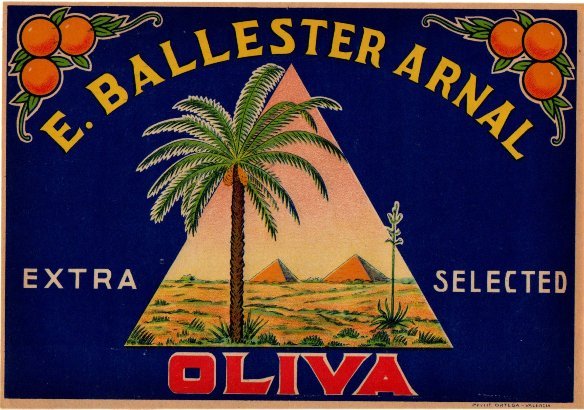 e ballester arnal extra selected oliva