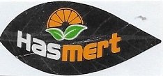 Hasmert
