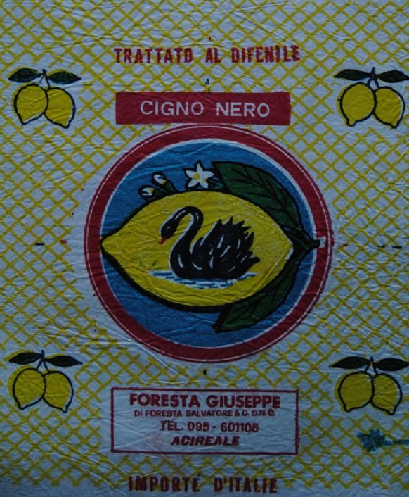 cigno nero foresta giuseppe di foresta salvatore & c. snc acireale importe d italie trattato al difenile