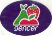 Gencer