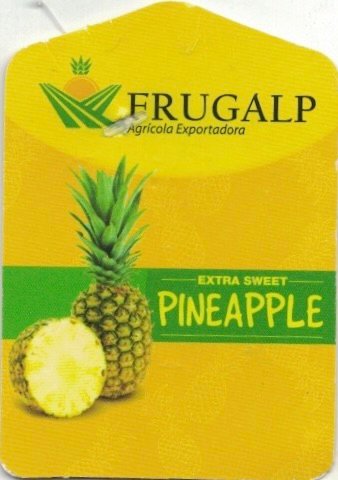 Frugalp agricola exportadora extra sweet pineapple www.frugalp.com product of ecuador