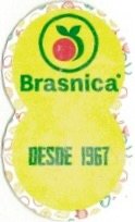 Brasnica desde 1967