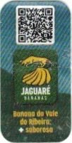 Jaguare bananas banana do vale do ribeira saborosa