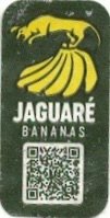 Jaguare bananas