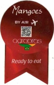 agrobras mangoes by air ready to eat
