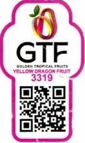 gtf golden tropical fruits yellow dragon fruit 3319