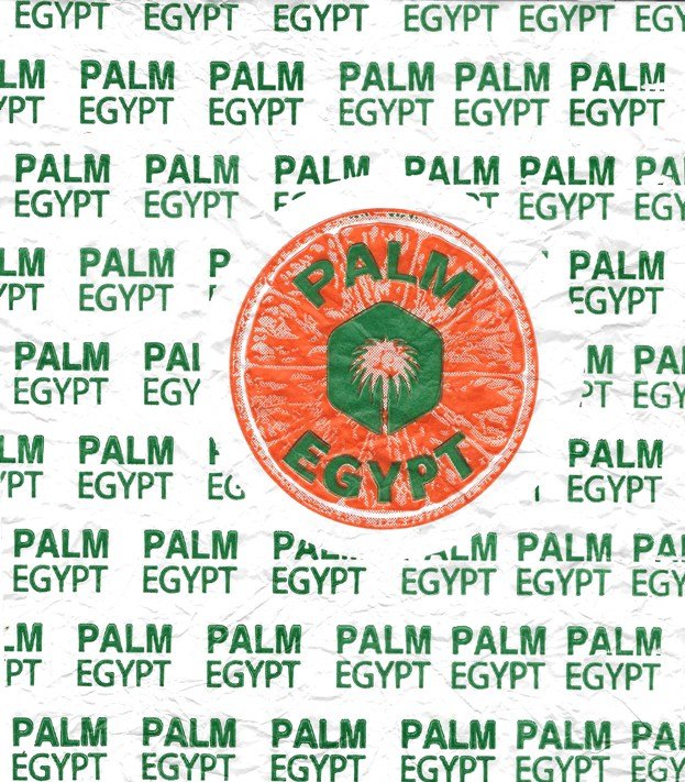 palm egypt