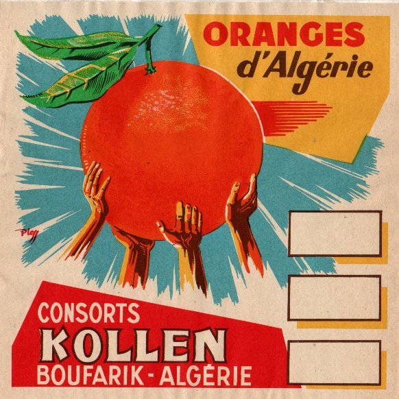 consorts kollen boufarik algerie