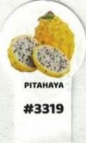 Pitahaya #3319
