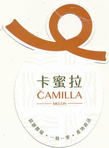 Camilla melon