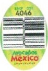 avocados from mexico emp 051 4046