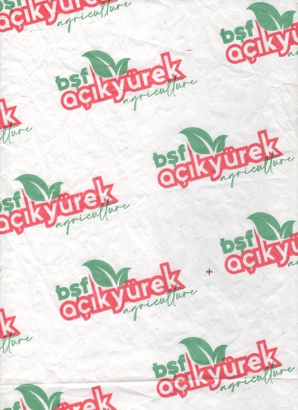 Bsf acikyurek