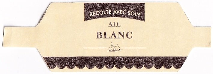 Recolte avec soin ail blanc
